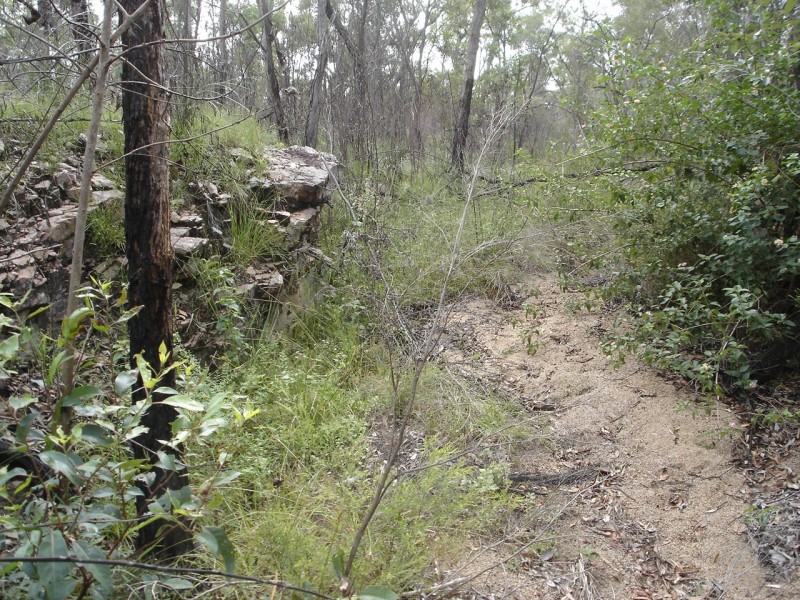 Lot 25 Tableland Road, Mount Maria QLD 4674