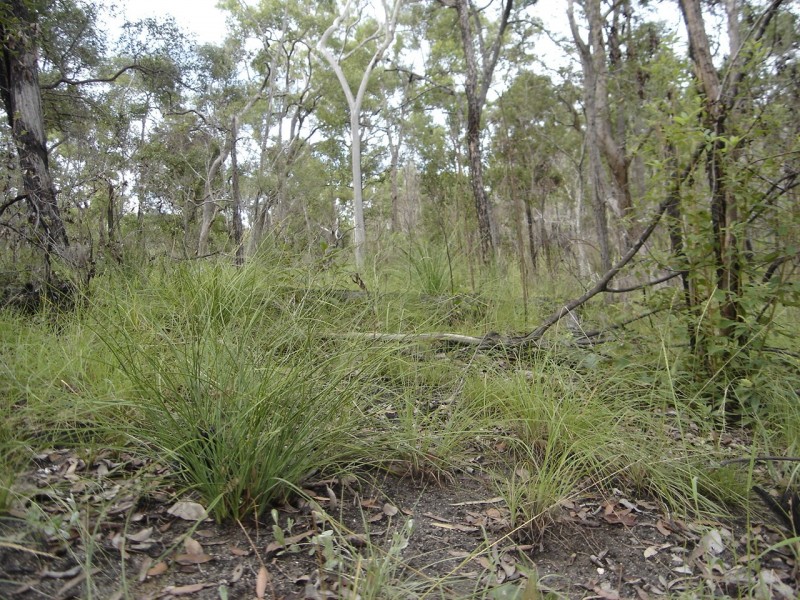 Lot 25 Tableland Road, Mount Maria QLD 4674