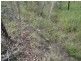 Lot 25 Tableland Road, Mount Maria QLD 4674
