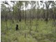 Lot 25 Tableland Road, Mount Maria QLD 4674
