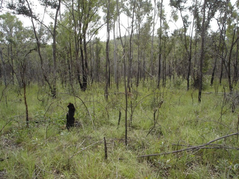 Lot 25 Tableland Road, Mount Maria QLD 4674
