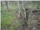 Lot 25 Tableland Road, Mount Maria QLD 4674