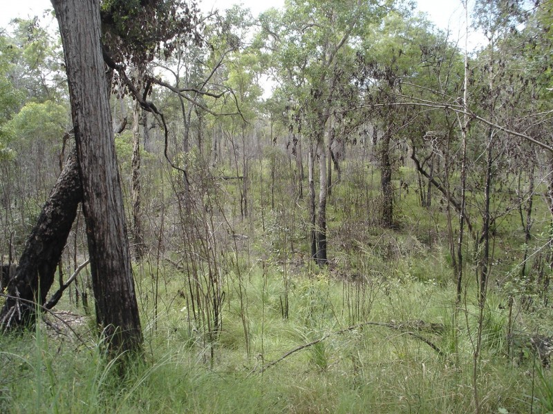 Lot 25 Tableland Road, Mount Maria QLD 4674