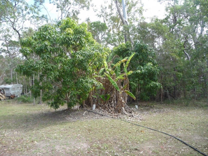 226 Rafting Ground Rd, Agnes Water QLD 4677