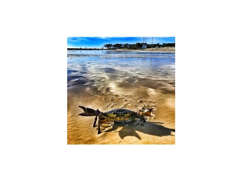 103 Innamincka Way, Agnes Water QLD 4677