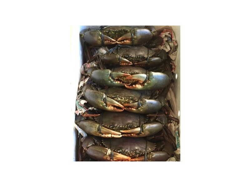 103 Innamincka Way, Agnes Water QLD 4677