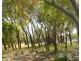 73 Sunrise Close, Agnes Water QLD 4677