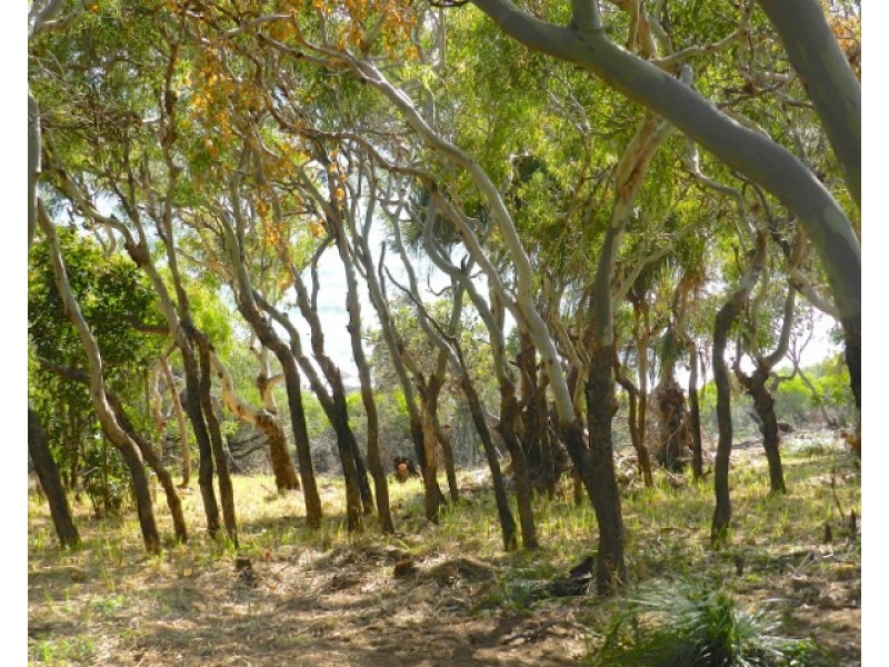 73 Sunrise Close, Agnes Water QLD 4677