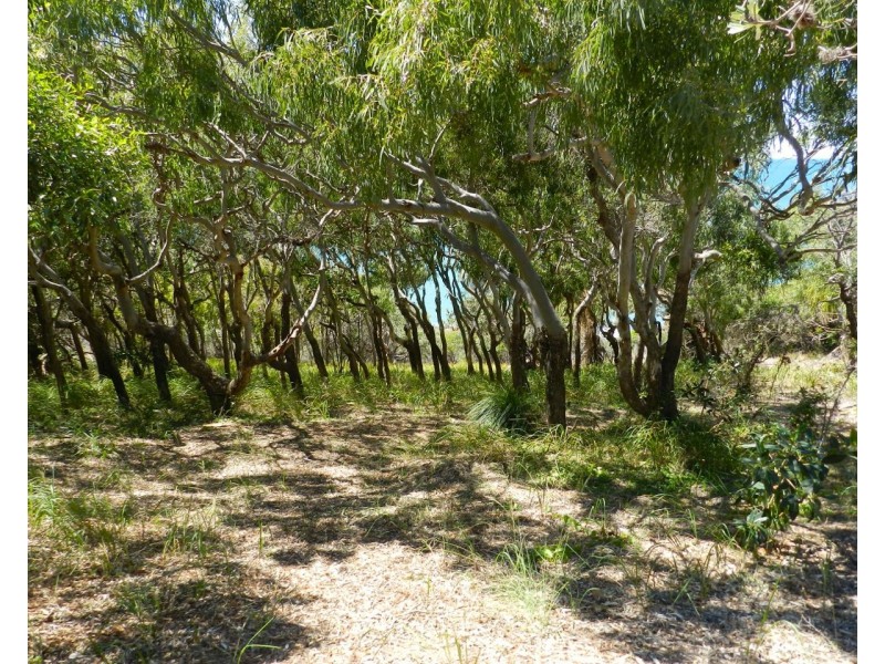 73 Sunrise Close, Agnes Water QLD 4677