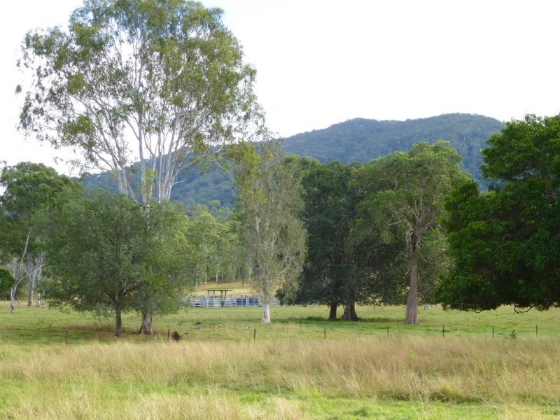 292 Forestry Road, Colosseum QLD 4677