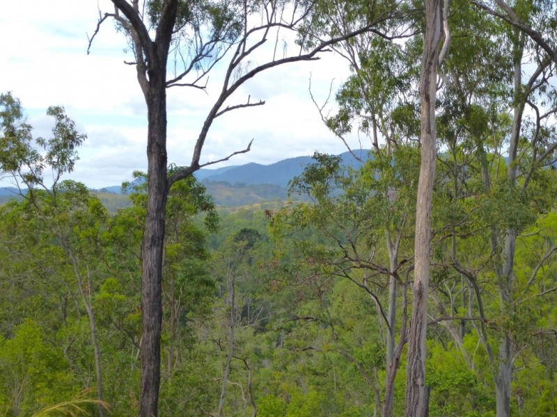 292 Forestry Road, Colosseum QLD 4677
