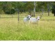 292 Forestry Road, Colosseum QLD 4677
