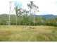 292 Forestry Road, Colosseum QLD 4677