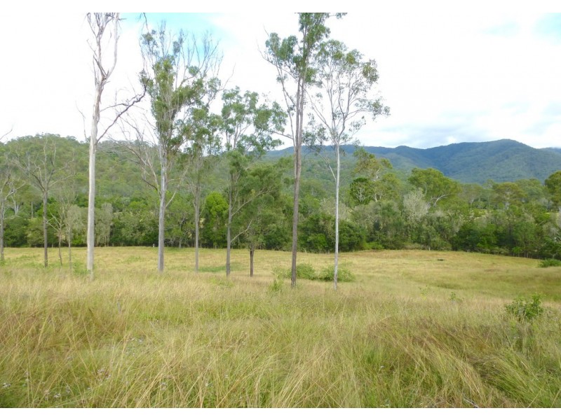 292 Forestry Road, Colosseum QLD 4677