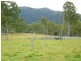 292 Forestry Road, Colosseum QLD 4677
