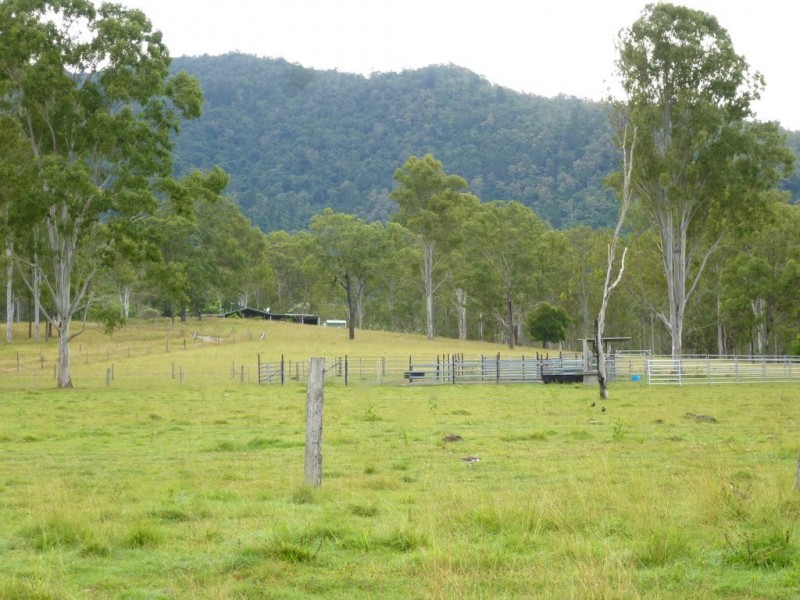 292 Forestry Road, Colosseum QLD 4677