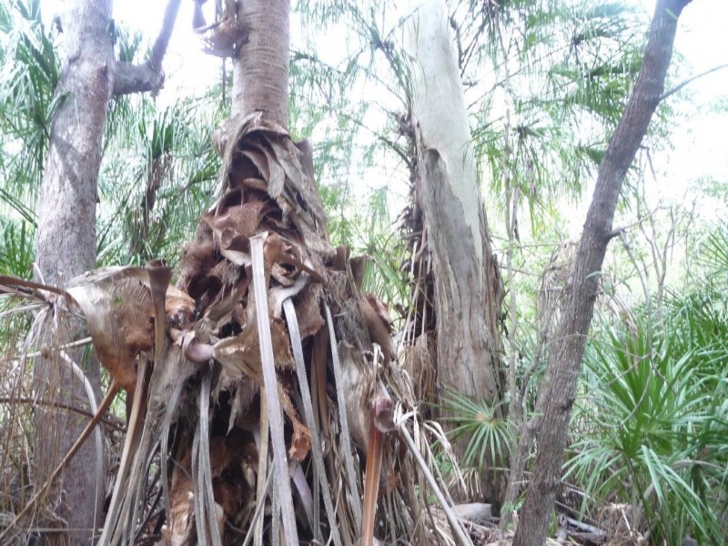 21 Round Hill Road, Round Hill QLD 4677