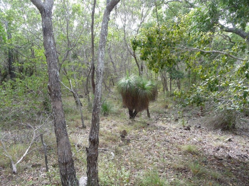 21 Round Hill Road, Round Hill QLD 4677