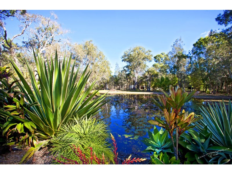 304 Lady Elliot Drive, Agnes Water QLD 4677