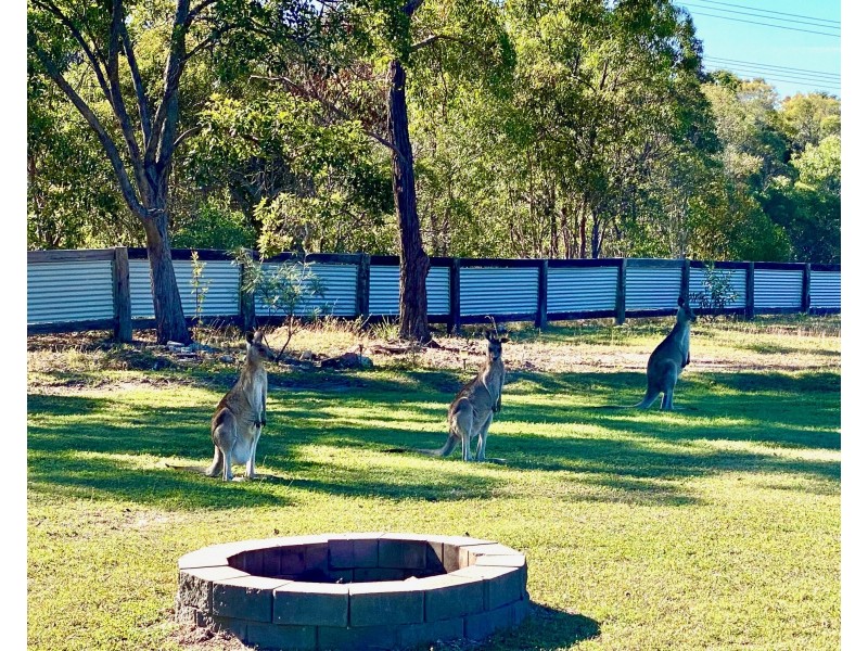 159 Masthead Dr, Agnes Water QLD 4677