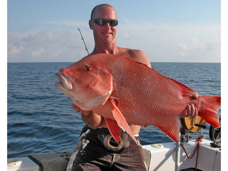 38 Occhilupo Circuit, Agnes Water QLD 4677