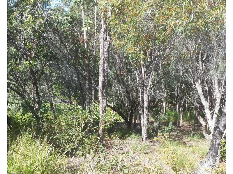 68 Woodrow Drive, Agnes Water QLD 4677