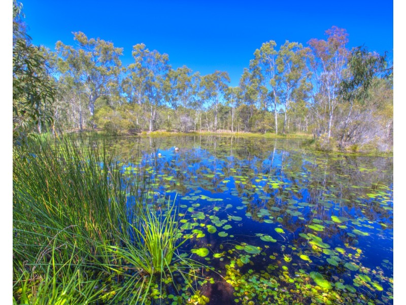 75 Bouch Court, Agnes Water QLD 4677