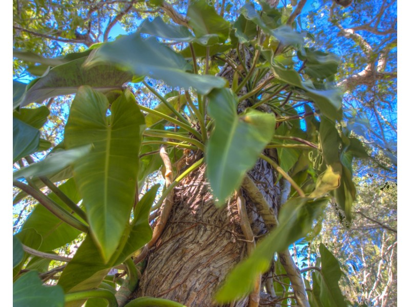 75 Bouch Court, Agnes Water QLD 4677