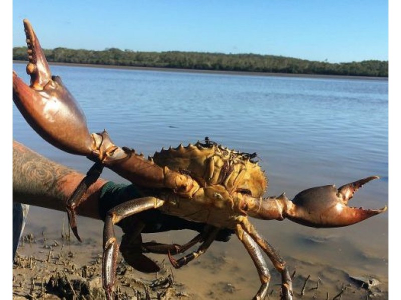 90 Masthead Drive, Agnes Water QLD 4677