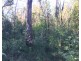 Lot L46,  Matchbox Road, Deepwater QLD 4674