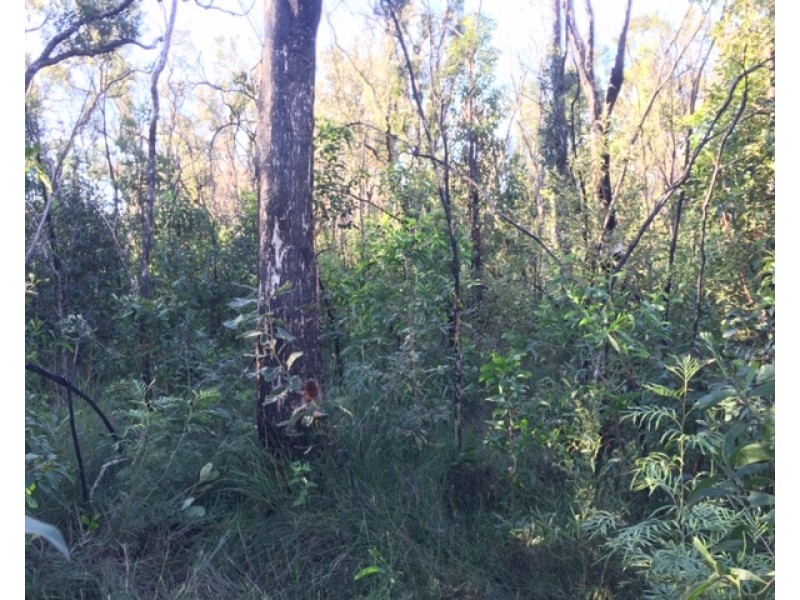 Lot L46,  Matchbox Road, Deepwater QLD 4674