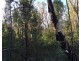 Lot L46,  Matchbox Road, Deepwater QLD 4674