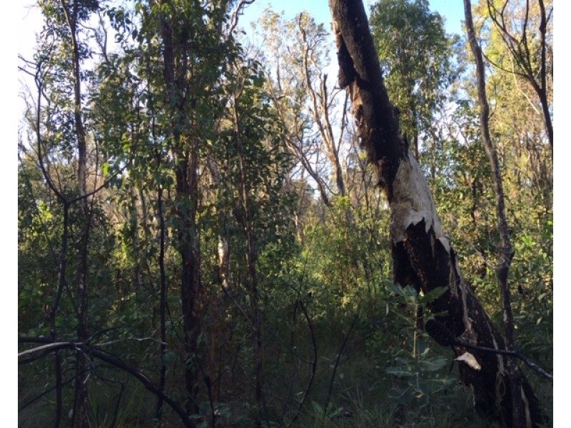 Lot L46,  Matchbox Road, Deepwater QLD 4674