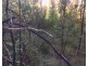 Lot L46,  Matchbox Road, Deepwater QLD 4674