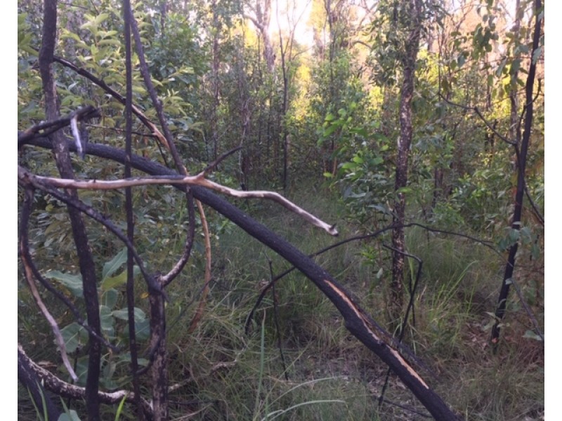 Lot L46,  Matchbox Road, Deepwater QLD 4674