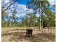 825 Round Hill Road, Captain Creek QLD 4677