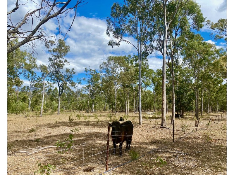 825 Round Hill Road, Captain Creek QLD 4677