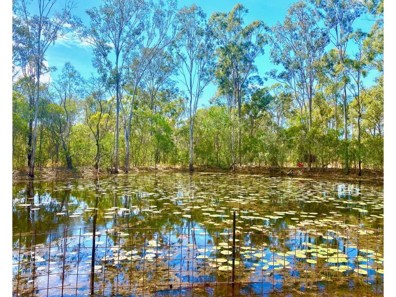 825 Round Hill Road, Captain Creek QLD 4677