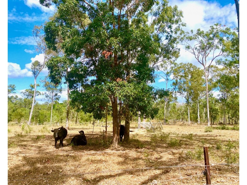 825 Round Hill Road, Captain Creek QLD 4677