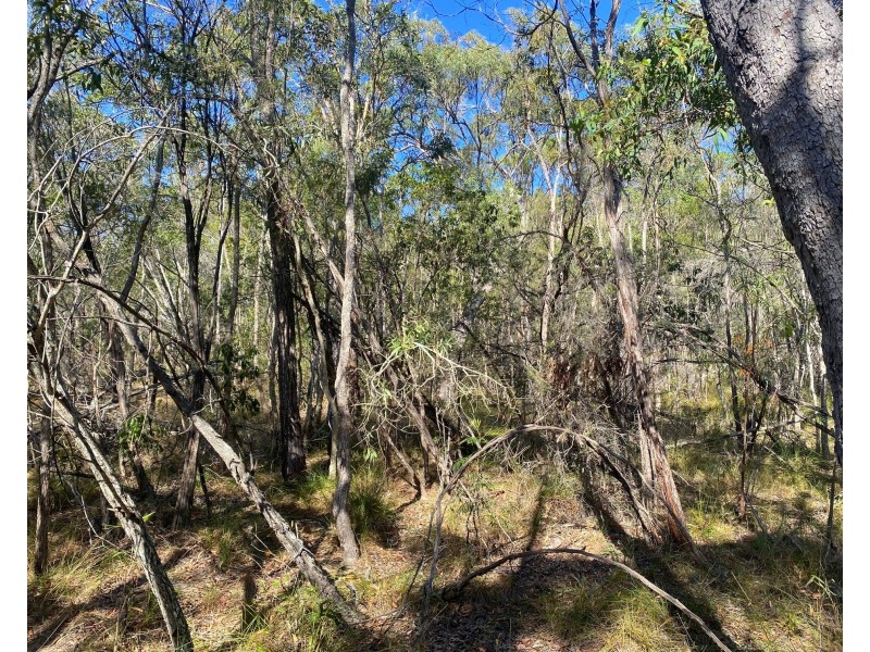 Lot 354, Streeter Drive, Agnes Water QLD 4677