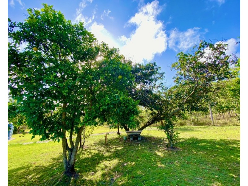 72 Rafting Ground Road, Agnes Water QLD 4677