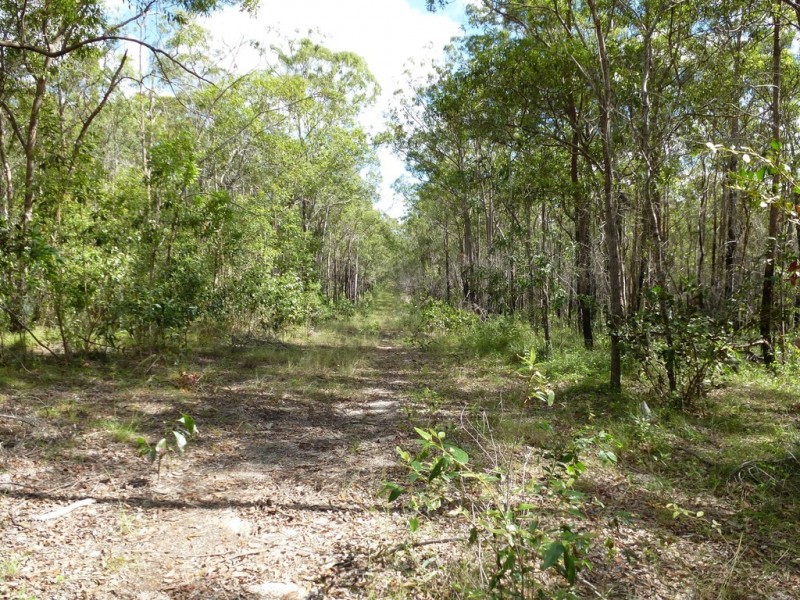 661 (lot 35) Mineral Road, Rosedale QLD 4674