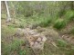 661 (lot 35) Mineral Road, Rosedale QLD 4674