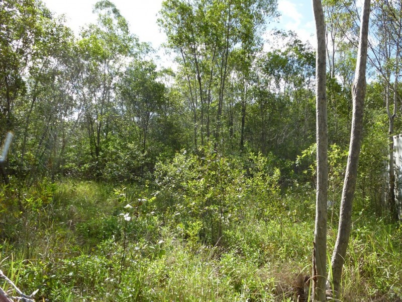 661 (lot 35) Mineral Road, Rosedale QLD 4674