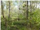 661 (lot 35) Mineral Road, Rosedale QLD 4674