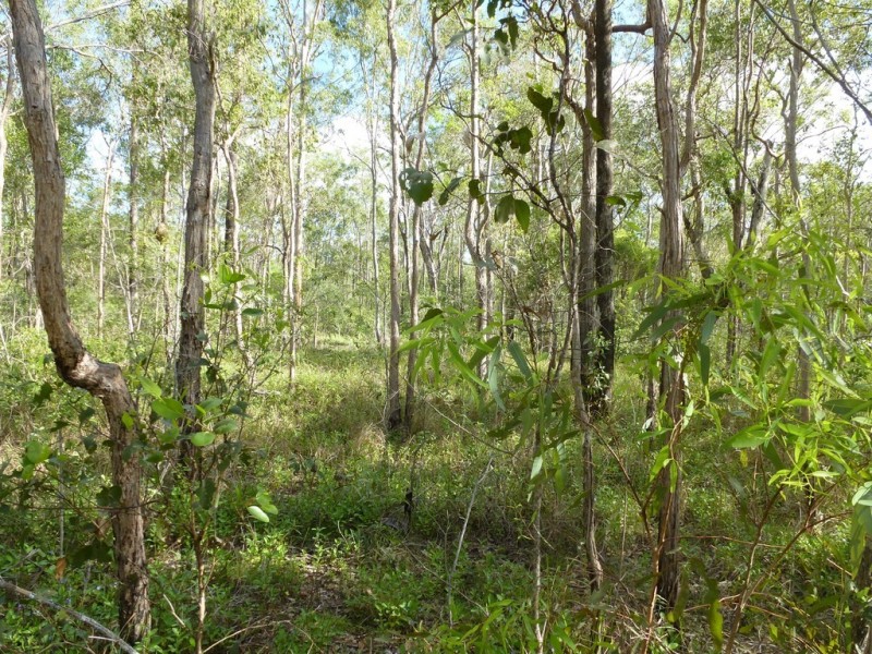 661 (lot 35) Mineral Road, Rosedale QLD 4674