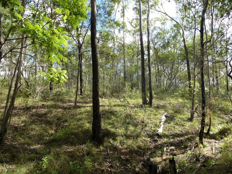 661 (lot 35) Mineral Road, Rosedale QLD 4674