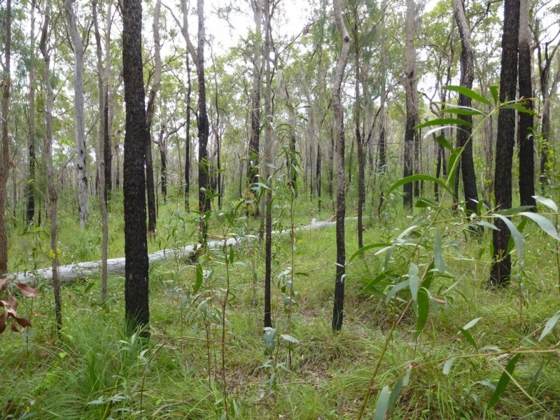 661 (lot 35) Mineral Road, Rosedale QLD 4674