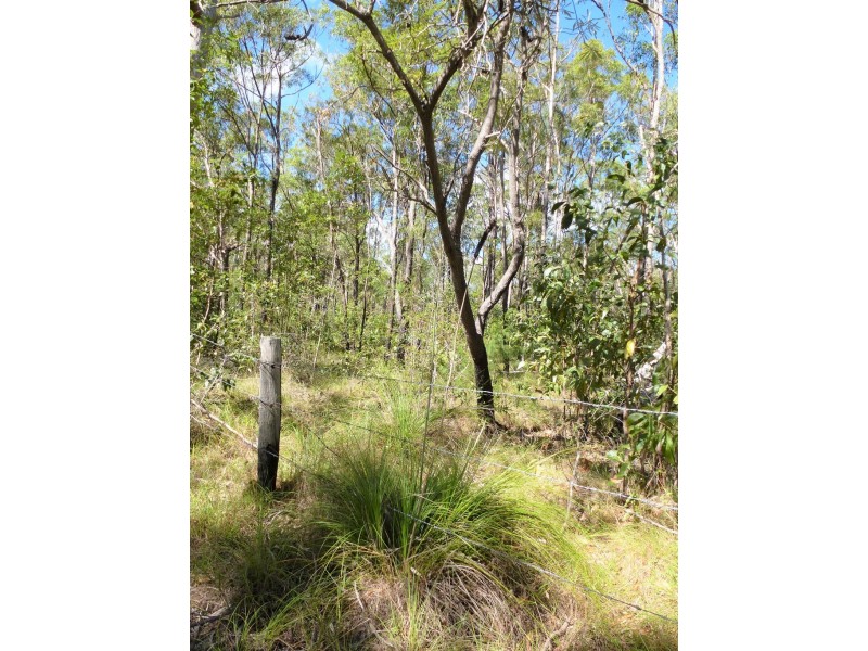 661 (lot 35) Mineral Road, Rosedale QLD 4674