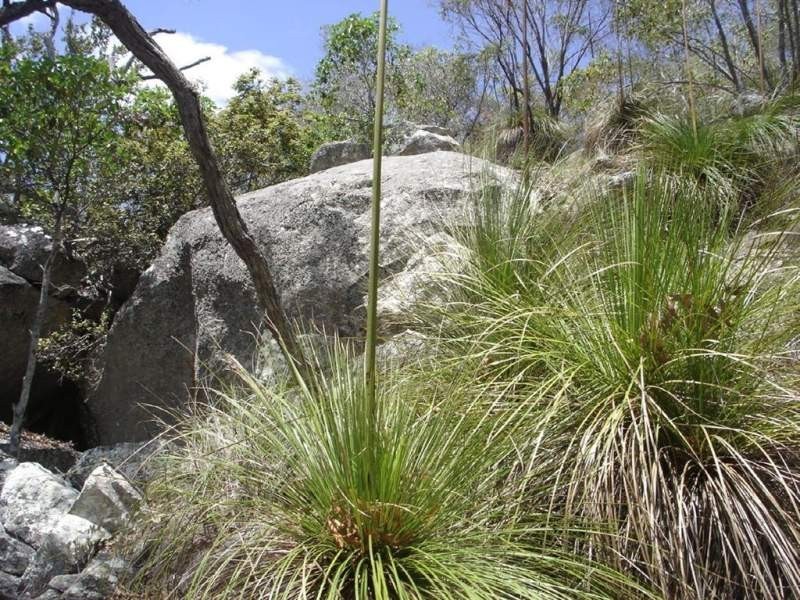 Lot 155 Capricornia Drive, Deepwater QLD 4674